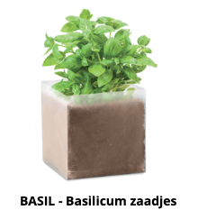 Basilicum zaadjes